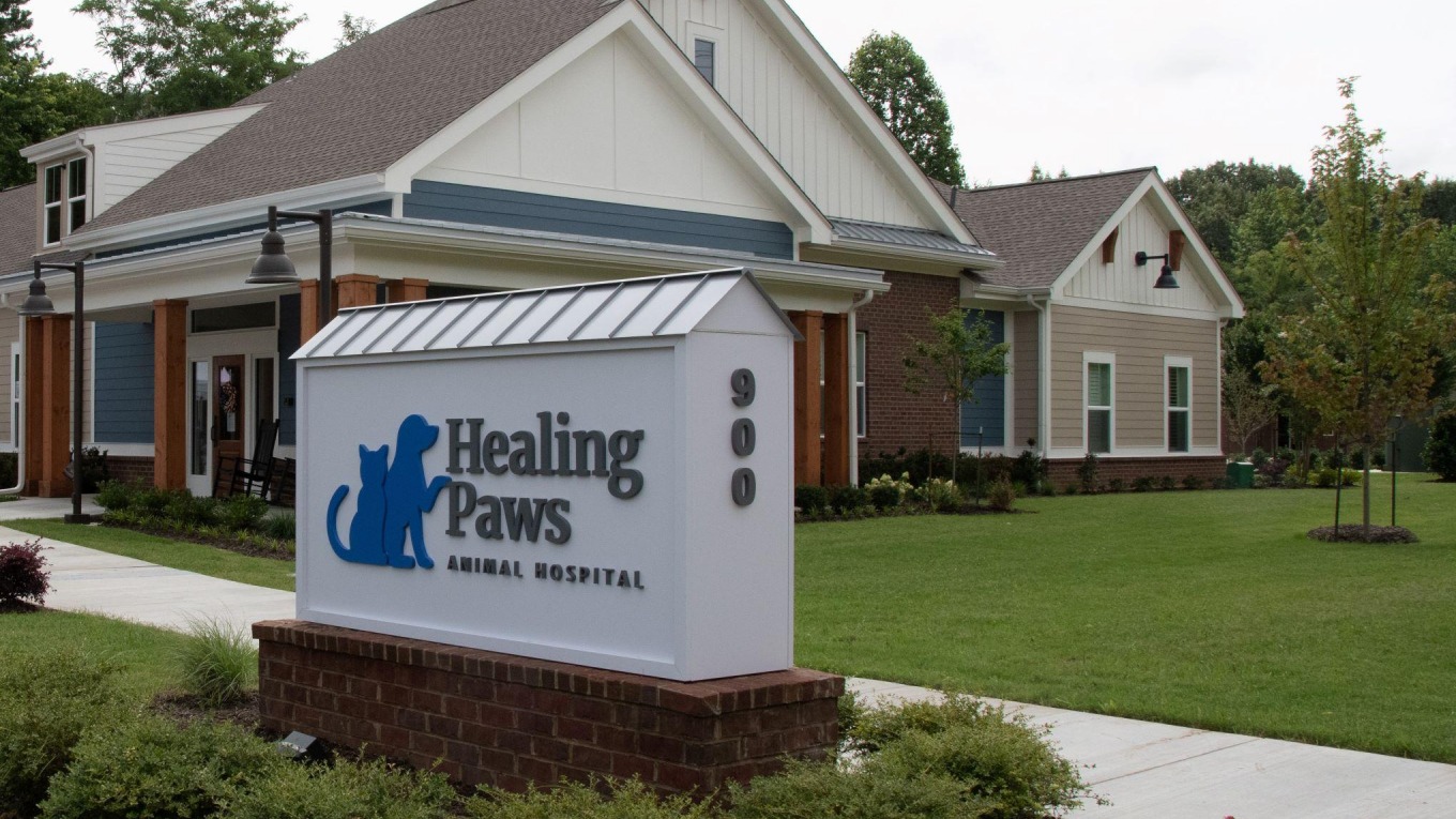 Healing Paws Blog 4