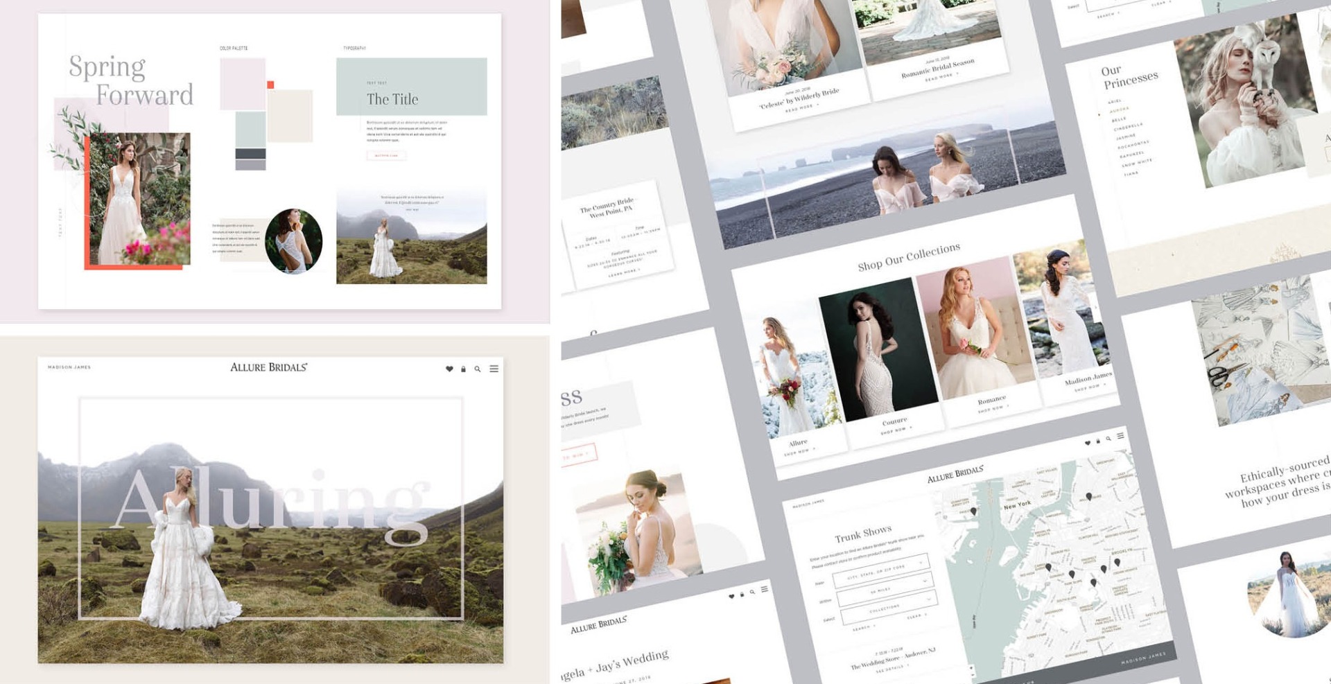 Paradigm Pitch Deck corporate Allure