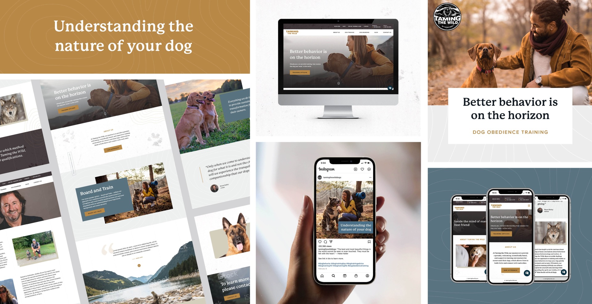 Paradigm Pitch Deck corporate TTW