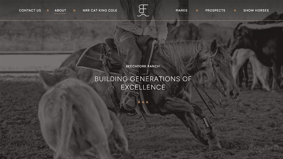 Beechfork ranch website