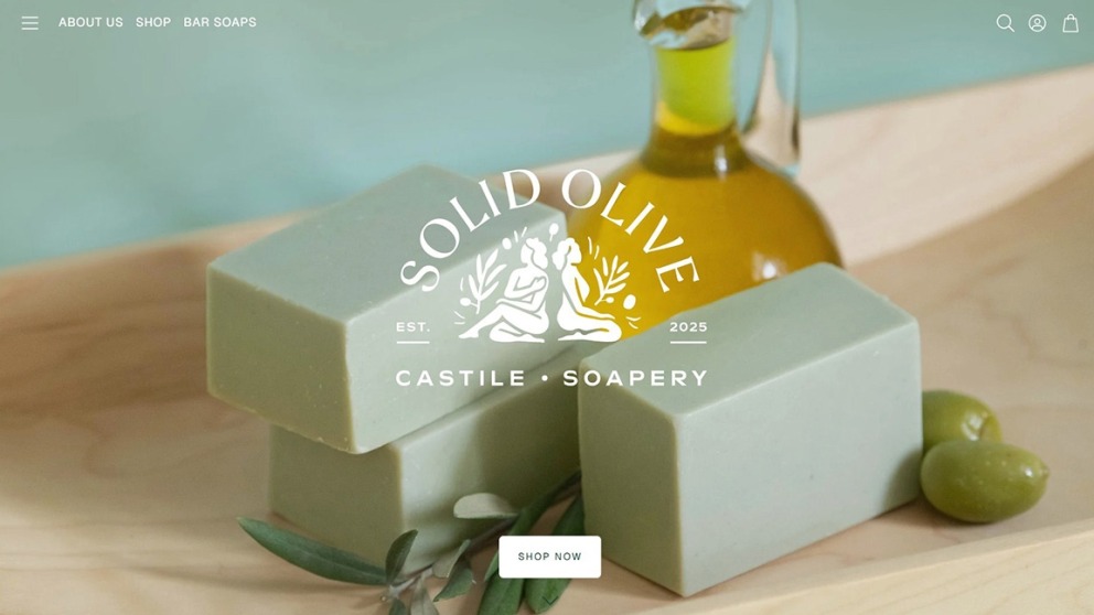 Solid Olive Website Thumbnail